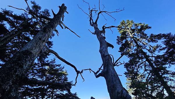 【玉山西峰北峰】兩天一夜玉山西峰+北峰挑戰主北叉路魔王坡! 【玉山西峰北峰】兩天一夜玉山西峰+北峰挑戰主北叉路魔王坡!