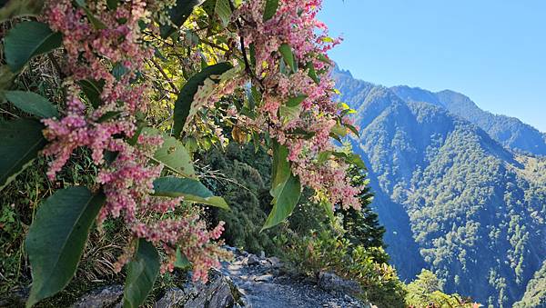 【玉山西峰北峰】兩天一夜玉山西峰+北峰挑戰主北叉路魔王坡! 【玉山西峰北峰】兩天一夜玉山西峰+北峰挑戰主北叉路魔王坡!