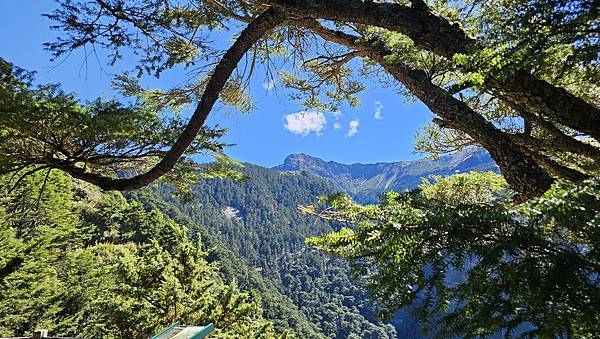 【玉山西峰北峰】兩天一夜玉山西峰+北峰挑戰主北叉路魔王坡! 【玉山西峰北峰】兩天一夜玉山西峰+北峰挑戰主北叉路魔王坡!