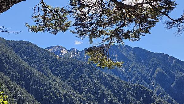 【玉山西峰北峰】兩天一夜玉山西峰+北峰挑戰主北叉路魔王坡! 【玉山西峰北峰】兩天一夜玉山西峰+北峰挑戰主北叉路魔王坡!
