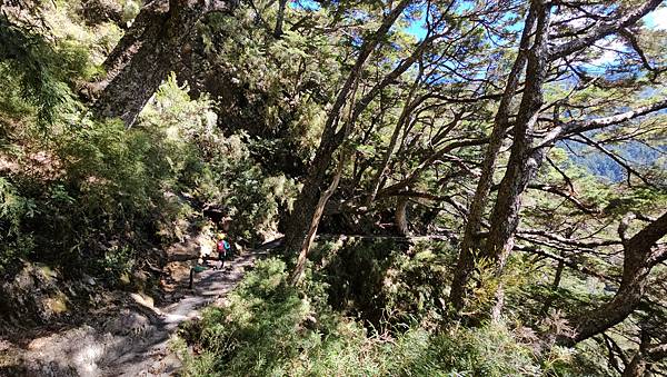 【玉山西峰北峰】兩天一夜玉山西峰+北峰挑戰主北叉路魔王坡! 【玉山西峰北峰】兩天一夜玉山西峰+北峰挑戰主北叉路魔王坡!