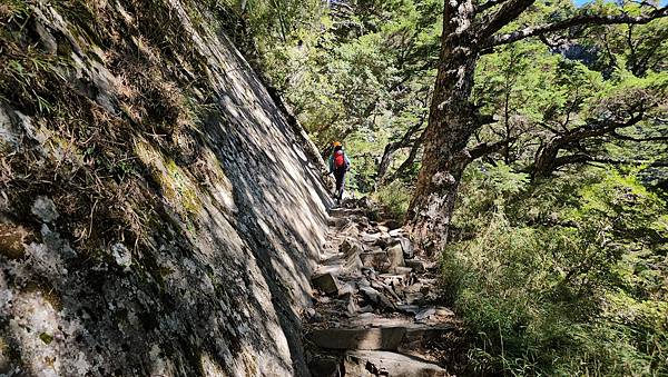 【玉山西峰北峰】兩天一夜玉山西峰+北峰挑戰主北叉路魔王坡! 【玉山西峰北峰】兩天一夜玉山西峰+北峰挑戰主北叉路魔王坡!