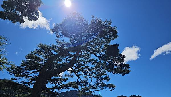 【玉山西峰北峰】兩天一夜玉山西峰+北峰挑戰主北叉路魔王坡! 【玉山西峰北峰】兩天一夜玉山西峰+北峰挑戰主北叉路魔王坡!