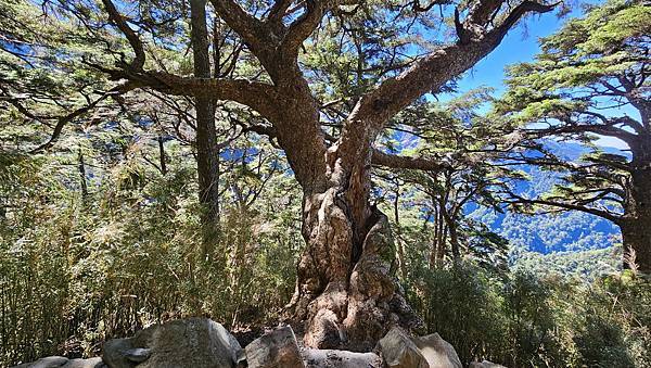【玉山西峰北峰】兩天一夜玉山西峰+北峰挑戰主北叉路魔王坡! 【玉山西峰北峰】兩天一夜玉山西峰+北峰挑戰主北叉路魔王坡!