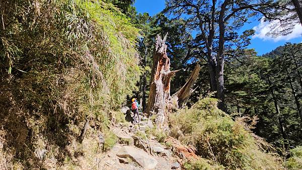 【玉山西峰北峰】兩天一夜玉山西峰+北峰挑戰主北叉路魔王坡! 【玉山西峰北峰】兩天一夜玉山西峰+北峰挑戰主北叉路魔王坡!