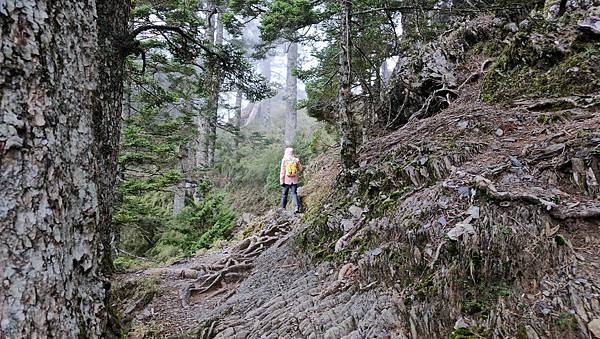 【玉山西峰北峰】兩天一夜玉山西峰+北峰挑戰主北叉路魔王坡! 【玉山西峰北峰】兩天一夜玉山西峰+北峰挑戰主北叉路魔王坡!