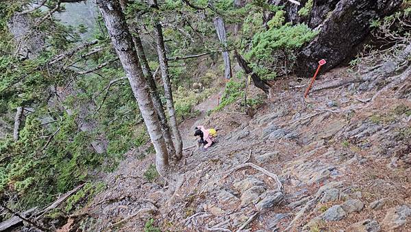 【玉山西峰北峰】兩天一夜玉山西峰+北峰挑戰主北叉路魔王坡! 【玉山西峰北峰】兩天一夜玉山西峰+北峰挑戰主北叉路魔王坡!