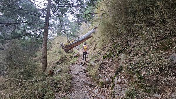 【玉山西峰北峰】兩天一夜玉山西峰+北峰挑戰主北叉路魔王坡! 【玉山西峰北峰】兩天一夜玉山西峰+北峰挑戰主北叉路魔王坡!