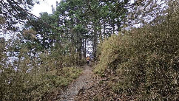 【玉山西峰北峰】兩天一夜玉山西峰+北峰挑戰主北叉路魔王坡! 【玉山西峰北峰】兩天一夜玉山西峰+北峰挑戰主北叉路魔王坡!