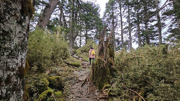 【玉山西峰北峰】兩天一夜玉山西峰+北峰挑戰主北叉路魔王坡! 【玉山西峰北峰】兩天一夜玉山西峰+北峰挑戰主北叉路魔王坡!