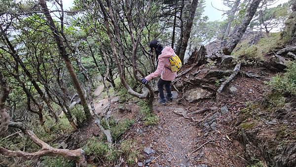 【玉山西峰北峰】兩天一夜玉山西峰+北峰挑戰主北叉路魔王坡! 【玉山西峰北峰】兩天一夜玉山西峰+北峰挑戰主北叉路魔王坡!