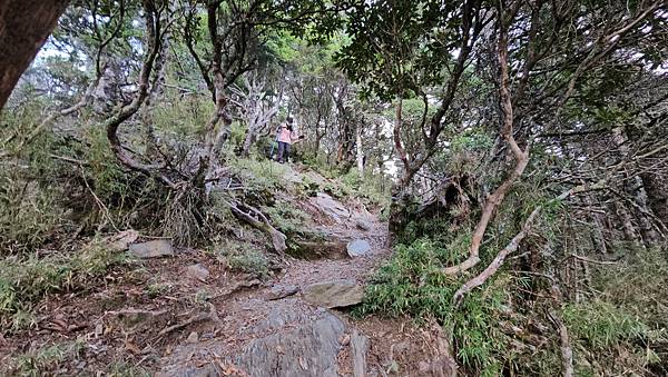 【玉山西峰北峰】兩天一夜玉山西峰+北峰挑戰主北叉路魔王坡! 【玉山西峰北峰】兩天一夜玉山西峰+北峰挑戰主北叉路魔王坡!