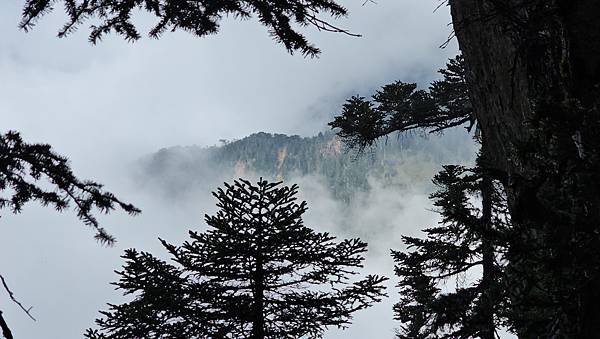 【玉山西峰北峰】兩天一夜玉山西峰+北峰挑戰主北叉路魔王坡! 【玉山西峰北峰】兩天一夜玉山西峰+北峰挑戰主北叉路魔王坡!
