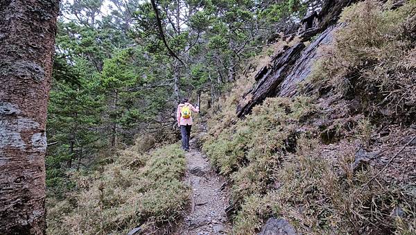 【玉山西峰北峰】兩天一夜玉山西峰+北峰挑戰主北叉路魔王坡! 【玉山西峰北峰】兩天一夜玉山西峰+北峰挑戰主北叉路魔王坡!