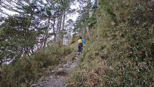 【玉山西峰北峰】兩天一夜玉山西峰+北峰挑戰主北叉路魔王坡! 【玉山西峰北峰】兩天一夜玉山西峰+北峰挑戰主北叉路魔王坡!