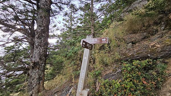 【玉山西峰北峰】兩天一夜玉山西峰+北峰挑戰主北叉路魔王坡! 【玉山西峰北峰】兩天一夜玉山西峰+北峰挑戰主北叉路魔王坡!