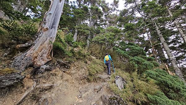 【玉山西峰北峰】兩天一夜玉山西峰+北峰挑戰主北叉路魔王坡! 【玉山西峰北峰】兩天一夜玉山西峰+北峰挑戰主北叉路魔王坡!