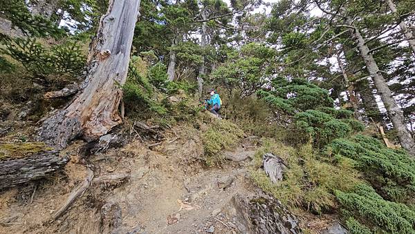 【玉山西峰北峰】兩天一夜玉山西峰+北峰挑戰主北叉路魔王坡! 【玉山西峰北峰】兩天一夜玉山西峰+北峰挑戰主北叉路魔王坡!