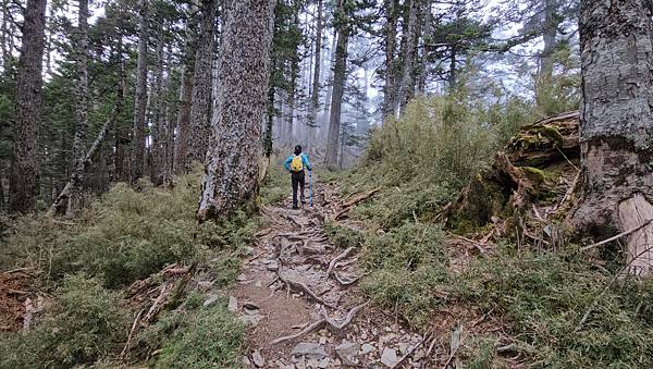 【玉山西峰北峰】兩天一夜玉山西峰+北峰挑戰主北叉路魔王坡! 【玉山西峰北峰】兩天一夜玉山西峰+北峰挑戰主北叉路魔王坡!