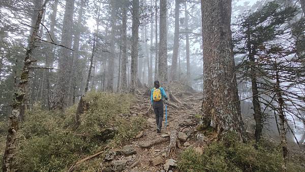 【玉山西峰北峰】兩天一夜玉山西峰+北峰挑戰主北叉路魔王坡! 【玉山西峰北峰】兩天一夜玉山西峰+北峰挑戰主北叉路魔王坡!