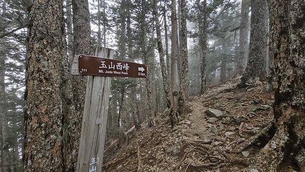 【玉山西峰北峰】兩天一夜玉山西峰+北峰挑戰主北叉路魔王坡! 【玉山西峰北峰】兩天一夜玉山西峰+北峰挑戰主北叉路魔王坡!