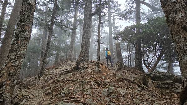 【玉山西峰北峰】兩天一夜玉山西峰+北峰挑戰主北叉路魔王坡! 【玉山西峰北峰】兩天一夜玉山西峰+北峰挑戰主北叉路魔王坡!