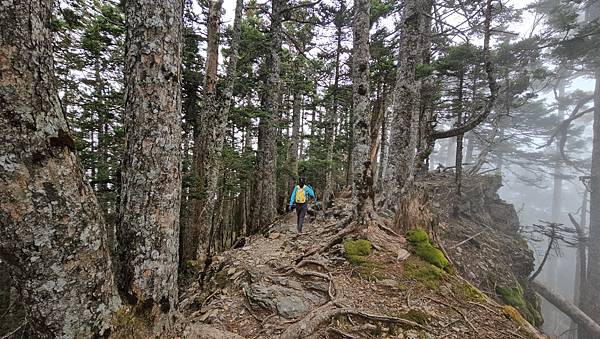 【玉山西峰北峰】兩天一夜玉山西峰+北峰挑戰主北叉路魔王坡! 【玉山西峰北峰】兩天一夜玉山西峰+北峰挑戰主北叉路魔王坡!