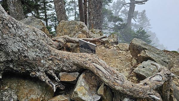 【玉山西峰北峰】兩天一夜玉山西峰+北峰挑戰主北叉路魔王坡! 【玉山西峰北峰】兩天一夜玉山西峰+北峰挑戰主北叉路魔王坡!