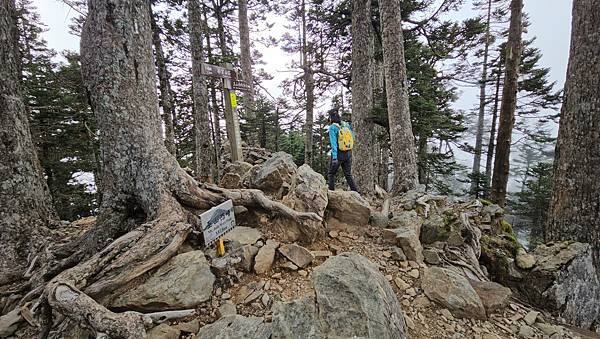 【玉山西峰北峰】兩天一夜玉山西峰+北峰挑戰主北叉路魔王坡! 【玉山西峰北峰】兩天一夜玉山西峰+北峰挑戰主北叉路魔王坡!