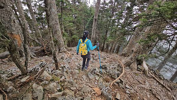 【玉山西峰北峰】兩天一夜玉山西峰+北峰挑戰主北叉路魔王坡! 【玉山西峰北峰】兩天一夜玉山西峰+北峰挑戰主北叉路魔王坡!