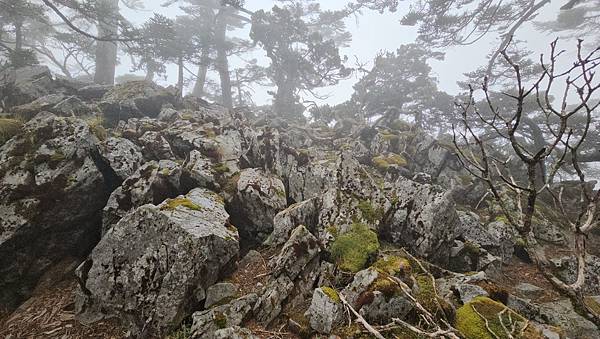 【玉山西峰北峰】兩天一夜玉山西峰+北峰挑戰主北叉路魔王坡! 【玉山西峰北峰】兩天一夜玉山西峰+北峰挑戰主北叉路魔王坡!