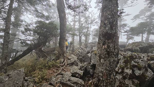 【玉山西峰北峰】兩天一夜玉山西峰+北峰挑戰主北叉路魔王坡! 【玉山西峰北峰】兩天一夜玉山西峰+北峰挑戰主北叉路魔王坡!