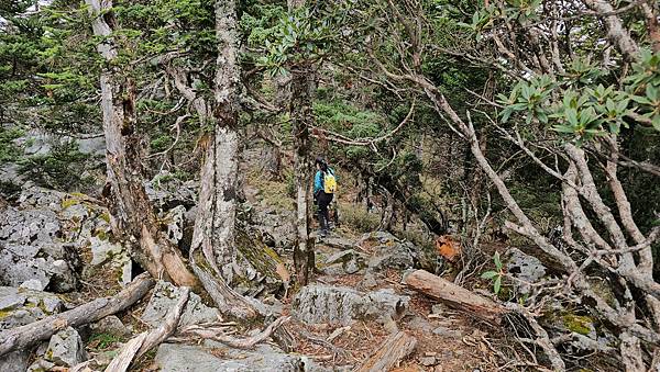 【玉山西峰北峰】兩天一夜玉山西峰+北峰挑戰主北叉路魔王坡! 【玉山西峰北峰】兩天一夜玉山西峰+北峰挑戰主北叉路魔王坡!
