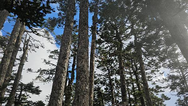 【玉山西峰北峰】兩天一夜玉山西峰+北峰挑戰主北叉路魔王坡! 【玉山西峰北峰】兩天一夜玉山西峰+北峰挑戰主北叉路魔王坡!