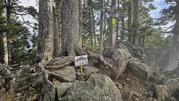 【玉山西峰北峰】兩天一夜玉山西峰+北峰挑戰主北叉路魔王坡! 【玉山西峰北峰】兩天一夜玉山西峰+北峰挑戰主北叉路魔王坡!