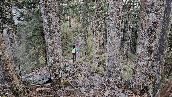 【玉山西峰北峰】兩天一夜玉山西峰+北峰挑戰主北叉路魔王坡! 【玉山西峰北峰】兩天一夜玉山西峰+北峰挑戰主北叉路魔王坡!