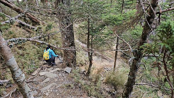 【玉山西峰北峰】兩天一夜玉山西峰+北峰挑戰主北叉路魔王坡! 【玉山西峰北峰】兩天一夜玉山西峰+北峰挑戰主北叉路魔王坡!