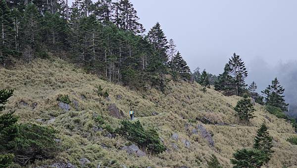 【玉山西峰北峰】兩天一夜玉山西峰+北峰挑戰主北叉路魔王坡! 【玉山西峰北峰】兩天一夜玉山西峰+北峰挑戰主北叉路魔王坡!
