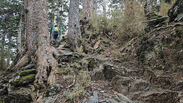 【玉山西峰北峰】兩天一夜玉山西峰+北峰挑戰主北叉路魔王坡! 【玉山西峰北峰】兩天一夜玉山西峰+北峰挑戰主北叉路魔王坡!