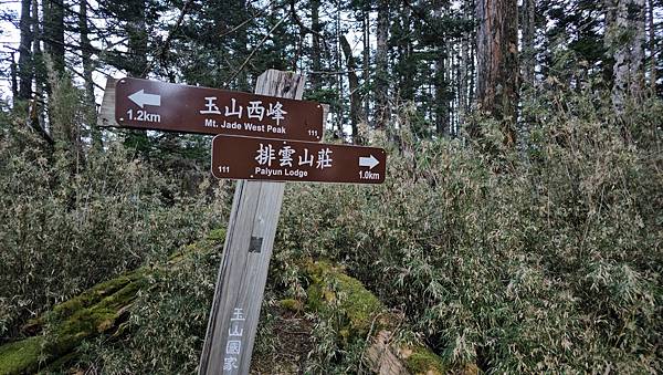 【玉山西峰北峰】兩天一夜玉山西峰+北峰挑戰主北叉路魔王坡! 【玉山西峰北峰】兩天一夜玉山西峰+北峰挑戰主北叉路魔王坡!