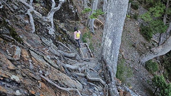 【玉山西峰北峰】兩天一夜玉山西峰+北峰挑戰主北叉路魔王坡! 【玉山西峰北峰】兩天一夜玉山西峰+北峰挑戰主北叉路魔王坡!