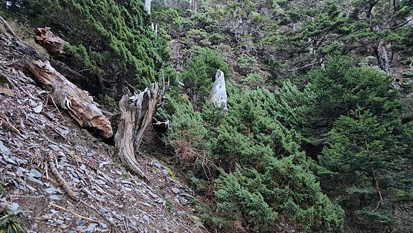 【玉山西峰北峰】兩天一夜玉山西峰+北峰挑戰主北叉路魔王坡! 【玉山西峰北峰】兩天一夜玉山西峰+北峰挑戰主北叉路魔王坡!