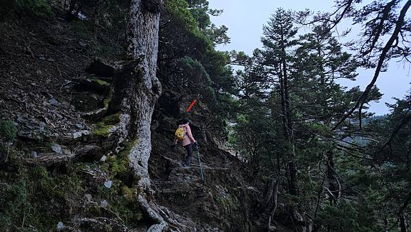 【玉山西峰北峰】兩天一夜玉山西峰+北峰挑戰主北叉路魔王坡! 【玉山西峰北峰】兩天一夜玉山西峰+北峰挑戰主北叉路魔王坡!