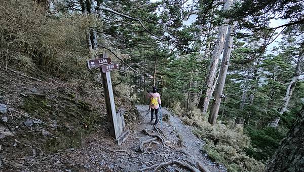【玉山西峰北峰】兩天一夜玉山西峰+北峰挑戰主北叉路魔王坡! 【玉山西峰北峰】兩天一夜玉山西峰+北峰挑戰主北叉路魔王坡!