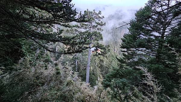 【玉山西峰北峰】兩天一夜玉山西峰+北峰挑戰主北叉路魔王坡! 【玉山西峰北峰】兩天一夜玉山西峰+北峰挑戰主北叉路魔王坡!