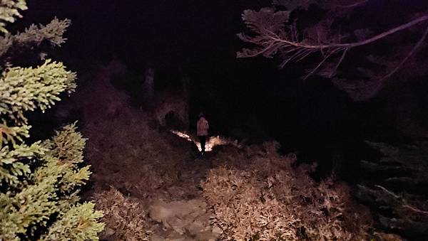 【玉山西峰北峰】兩天一夜玉山西峰+北峰挑戰主北叉路魔王坡! 【玉山西峰北峰】兩天一夜玉山西峰+北峰挑戰主北叉路魔王坡!