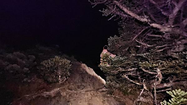 【玉山西峰北峰】兩天一夜玉山西峰+北峰挑戰主北叉路魔王坡! 【玉山西峰北峰】兩天一夜玉山西峰+北峰挑戰主北叉路魔王坡!