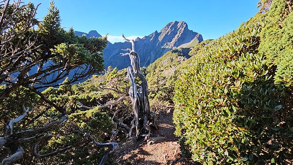 【玉山西峰北峰】兩天一夜玉山西峰+北峰挑戰主北叉路魔王坡! 【玉山西峰北峰】兩天一夜玉山西峰+北峰挑戰主北叉路魔王坡!