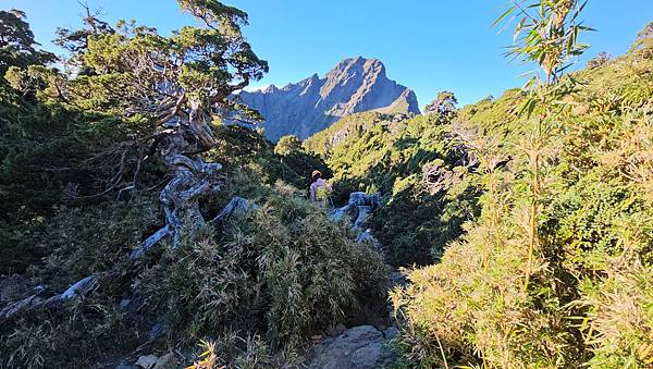 【玉山西峰北峰】兩天一夜玉山西峰+北峰挑戰主北叉路魔王坡! 【玉山西峰北峰】兩天一夜玉山西峰+北峰挑戰主北叉路魔王坡!