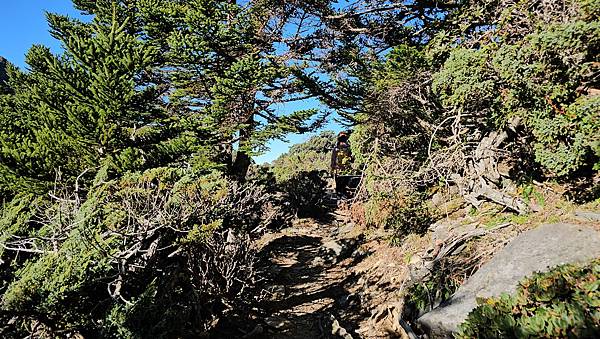 【玉山西峰北峰】兩天一夜玉山西峰+北峰挑戰主北叉路魔王坡! 【玉山西峰北峰】兩天一夜玉山西峰+北峰挑戰主北叉路魔王坡!